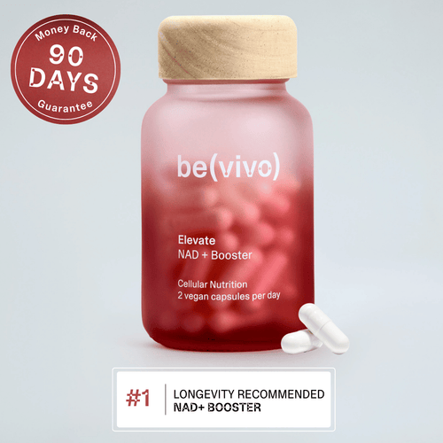 be(vivo) Elevate